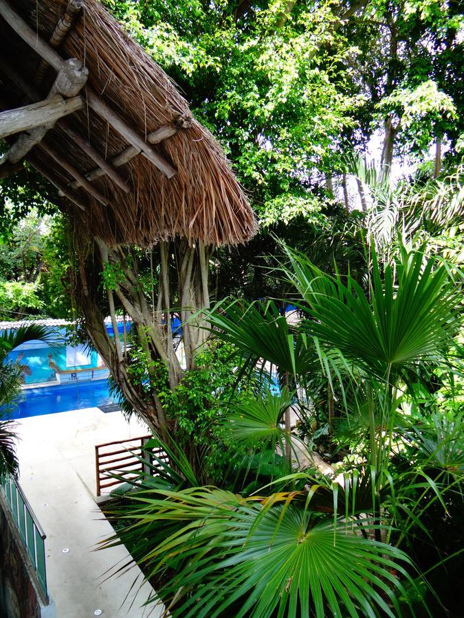Casa Tucan Hotel プレヤデルカーメン エクステリア 写真